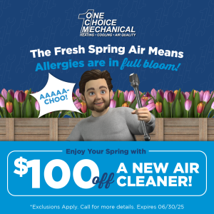 $100 Off A New Air Cleaner!